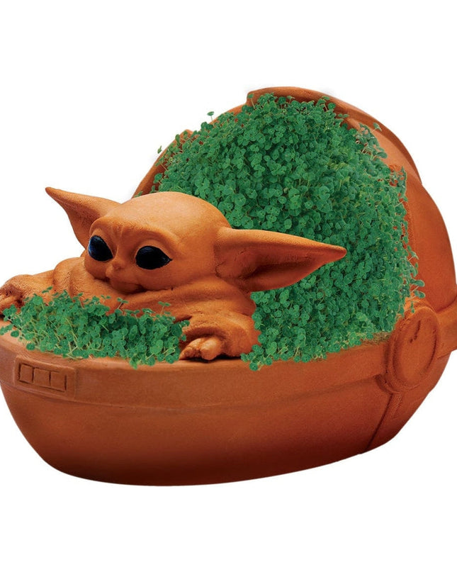 Chia Pet - Star Wars The Child