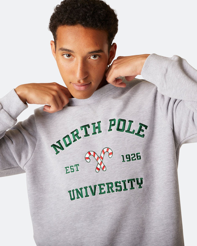 Weihnachtspullover der North Pole University für Herren