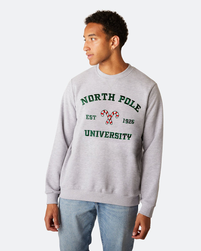 Weihnachtspullover der North Pole University für Herren