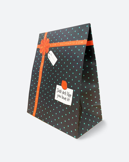 Gift Bag for Sweater or Pyjamas