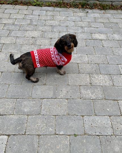 Nordic Red Dog Christmas Sweater