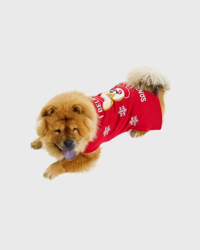 Santa Paws Christmas Sweater for Pets