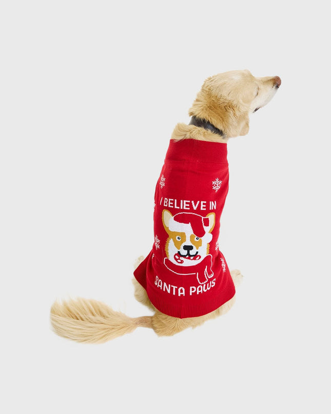 Santa Paws Christmas Sweater for Pets