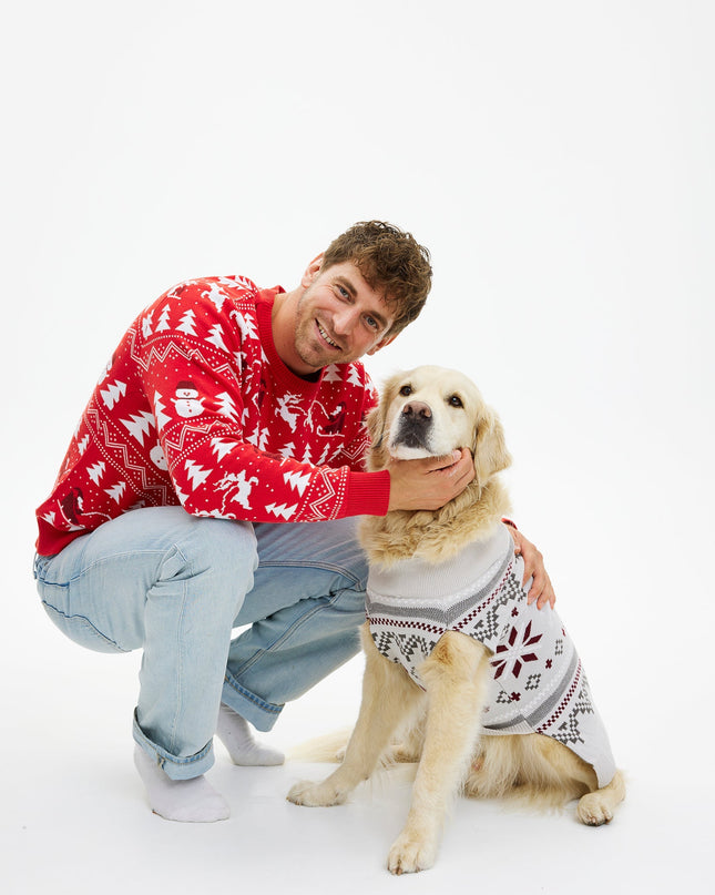 Schicker Weihnachtspullover für Haustiere