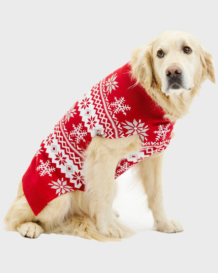 Cute Dog Christmas Sweater