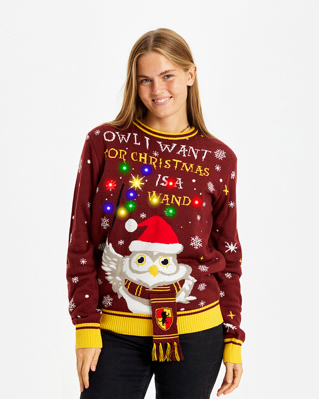 Owl I Want For Christmas Sweater - Women's Light-Up Style