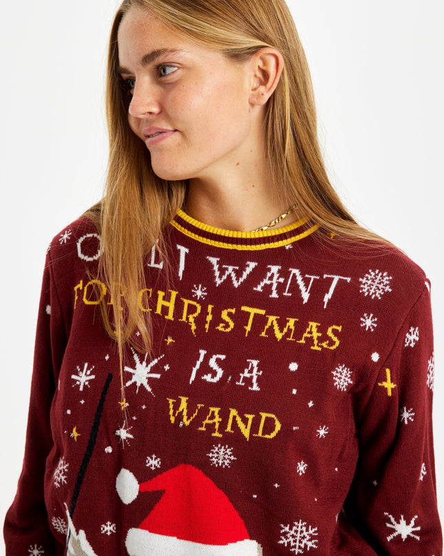 Owl I Want For Christmas Sweater - Women's Light-Up Style