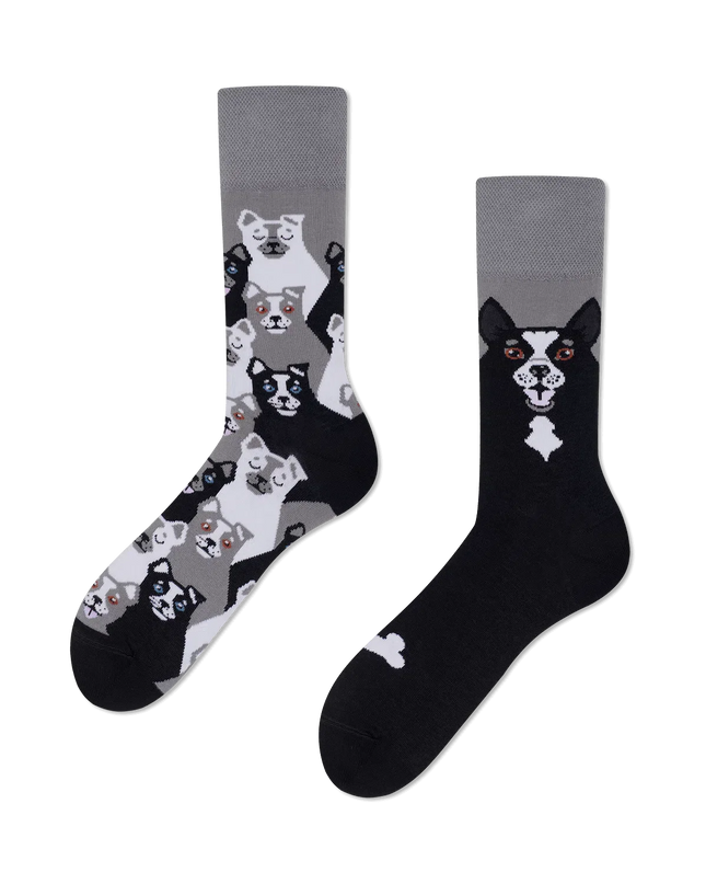 Socken mit dem Aufdruck „Viele Morgen“ – Design „Schwarzer Hund“ | Tags: Weihnachtssocken