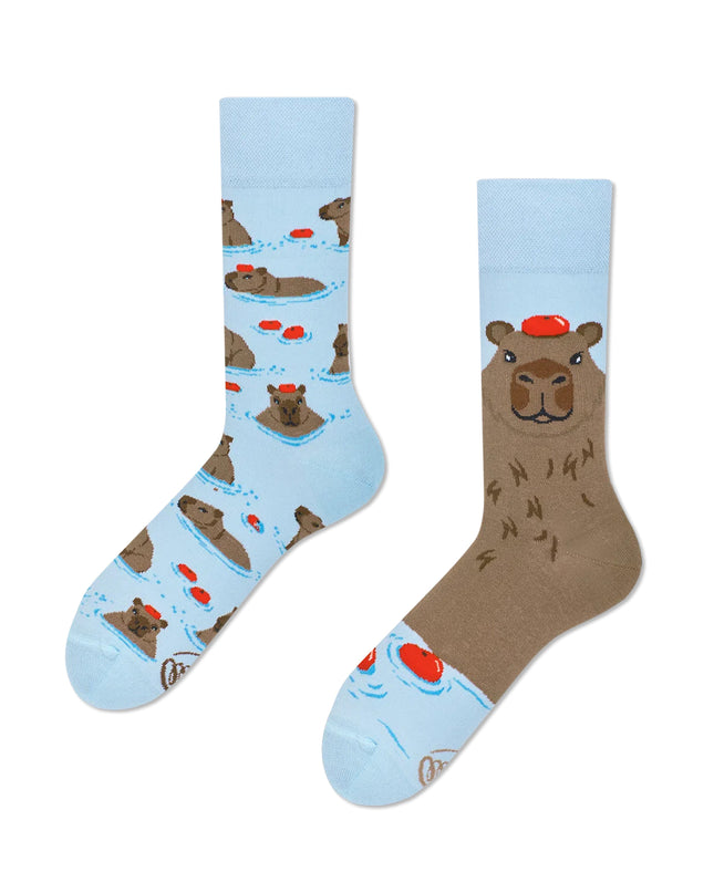 Viele Morgen Socken - Capybara