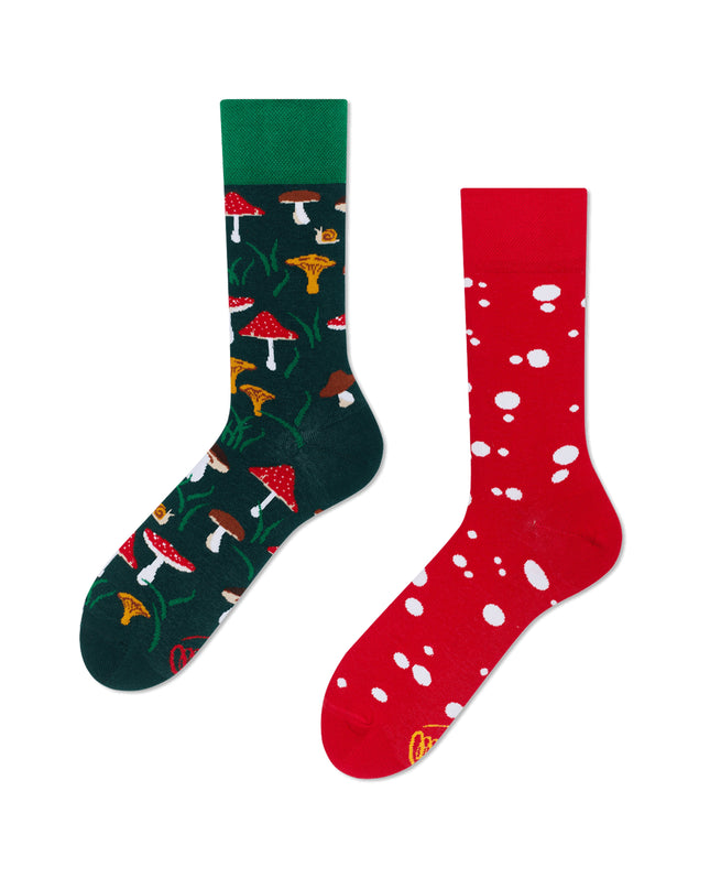 Viele Morgen Socken - Treffen mit den Pilzen