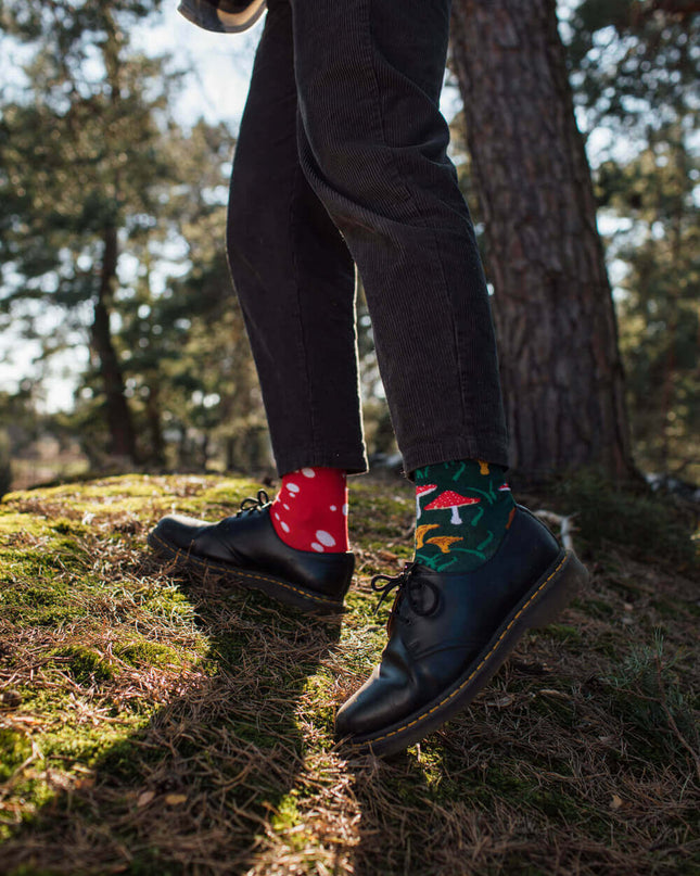 Viele Morgen Socken - Treffen mit den Pilzen
