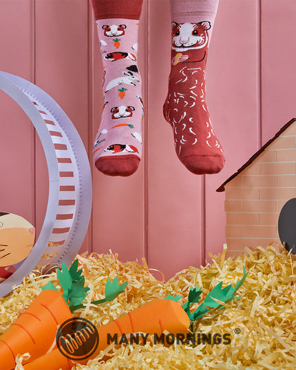 Many Mornings Zokni - Miss Guinea Pig Fun Socks for Everyone