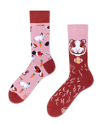 Many Mornings Zokni - Miss Guinea Pig Fun Socks for Everyone