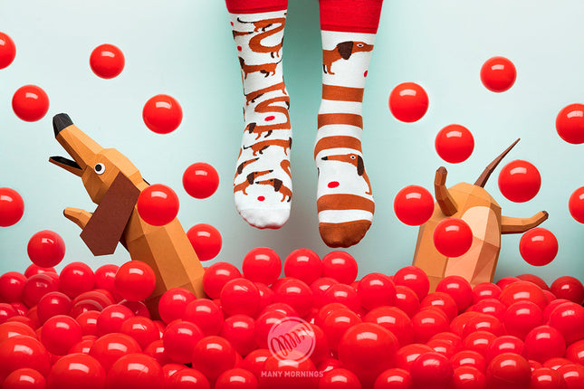 Many Mornings Zokni – Sockenkollektion mit Dackelmotiv