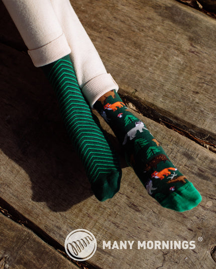 Scout Memory Fun Socks for Kids and Adults