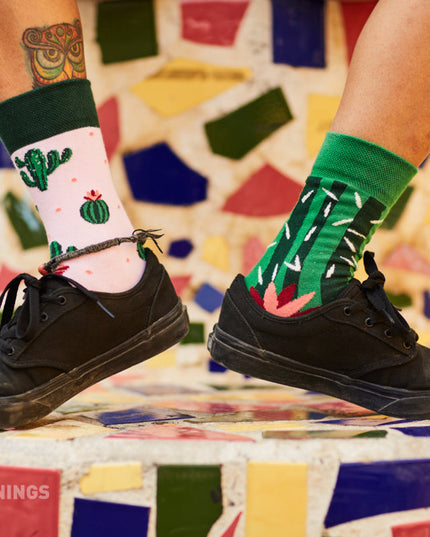 Many Mornings Zokni - Summer Cactus Fun Socks for Everyone