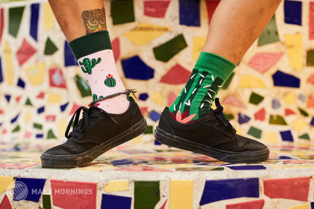 Many Mornings Zokni – Sommerliche Kaktus-Spaß-Socken für alle