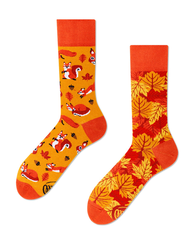 Viele Morgen Zokni - Die lustigen Eichhörnchen-Socken für alle