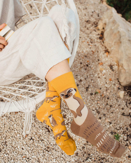 Many Mornings Zokni - The Meerkat Christmas Fun Socks Collection