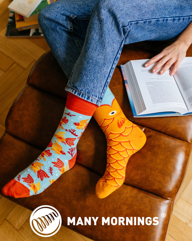 Viele Morgen Zokni - Die Wunschfisch-Spaßsocken für alle