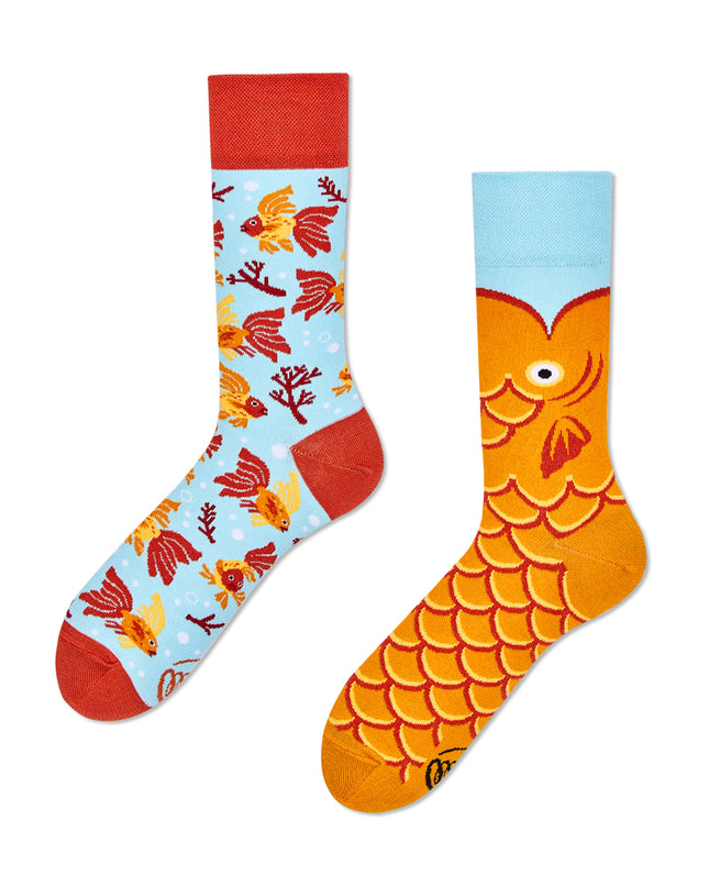 Viele Morgen Zokni - Die Wunschfisch-Spaßsocken für alle