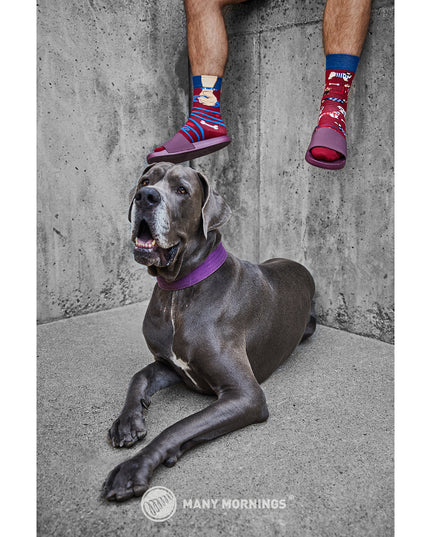 Viele Morgen Zokni - Gassi-Spaß-Socken für Hunde jeden Alters