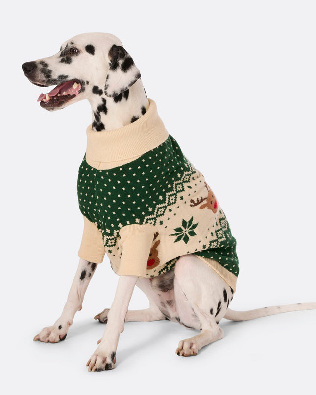 Grüner Retro-Rentierpullover für Hunde | Klassische Festtagsbekleidung für Haustiere