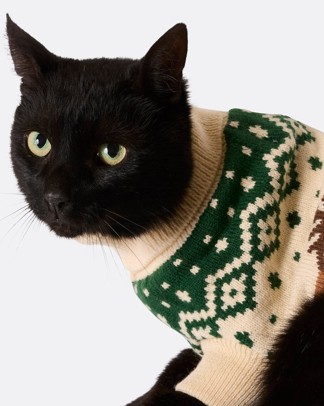 Grüner Retro-Weihnachtspullover mit Rentier-Motiv für Katzen | Festliche Familienkleidung