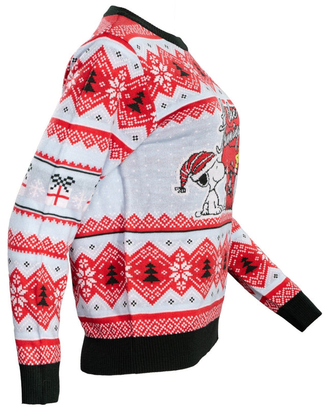 Peanuts Haus – Alle Verzierungen – Hässlicher Weihnachtspullover