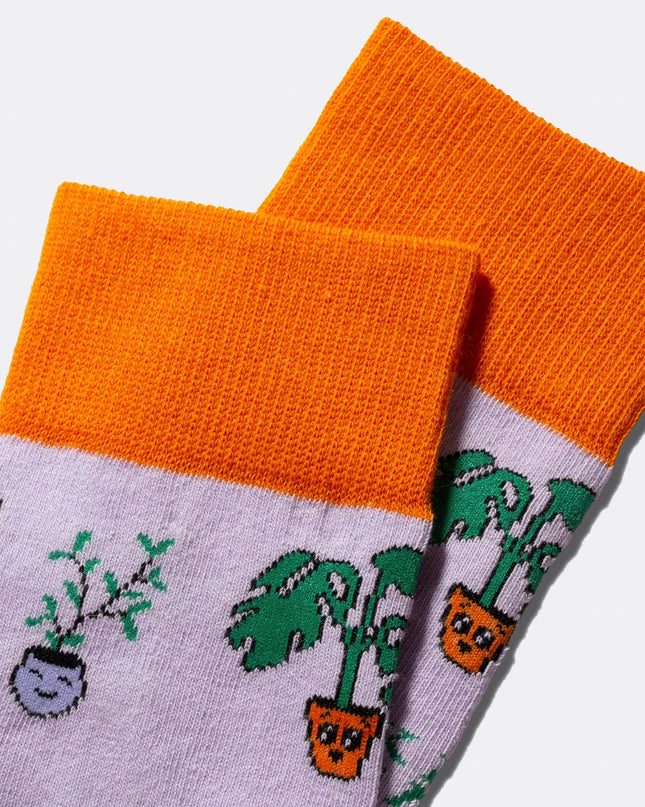 Pflanzensocken