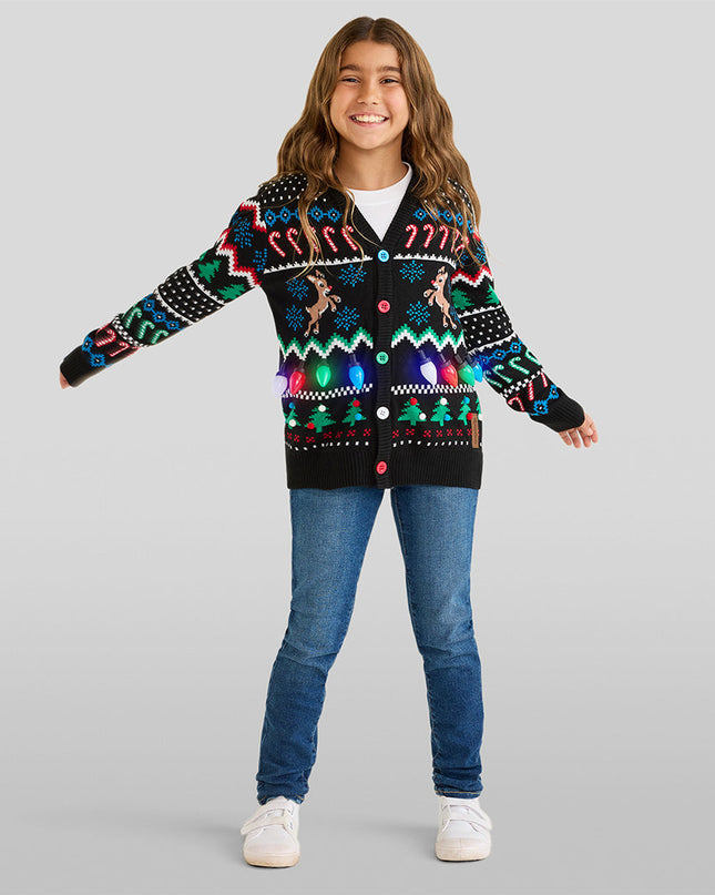 Matching Fair Isle Rudolph Light Up Family Cardigan Sweaters