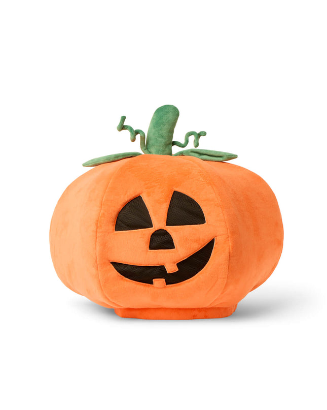 Men's Pumpkin Head Skeleton Costume