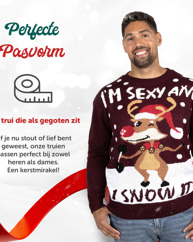 Ich bin sexy und ich schneie es Weihnachtspullover