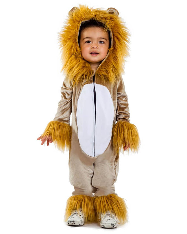 Toddler Boy's Lion Costume