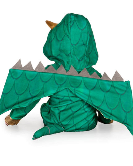 Baby Boy's Dragon Costume