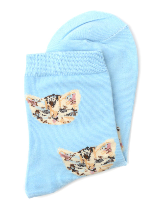 Katzensocken – Blauer Spaß