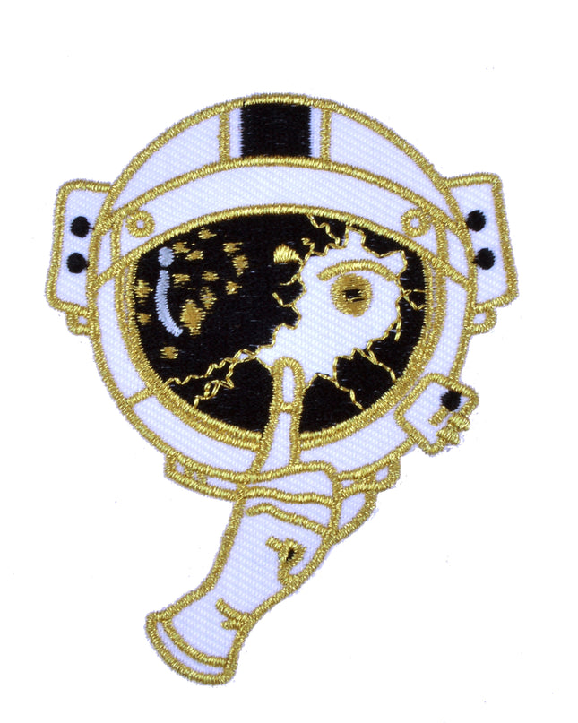 Patch – Geheimer Astronaut