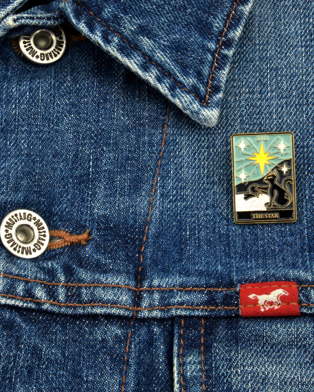 Tarot The Star Pin