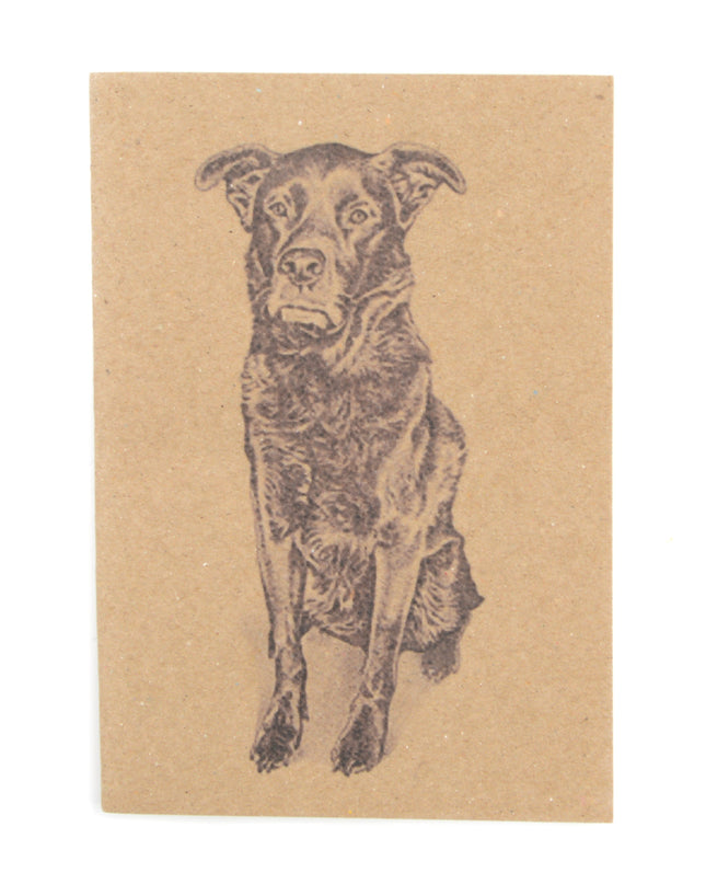 Notesz - Dog
