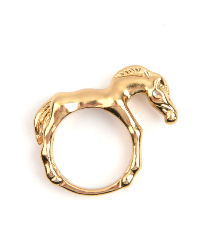 Ring - Pferd