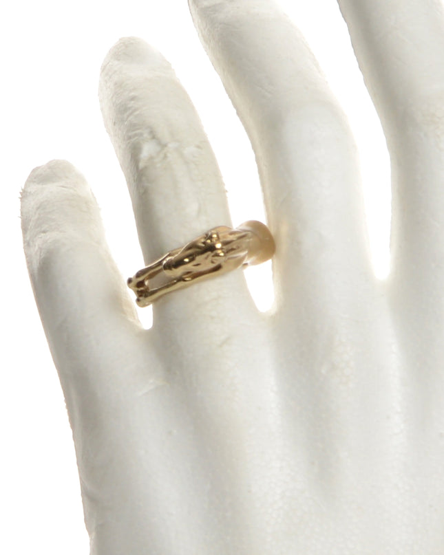 Ring - Pferd