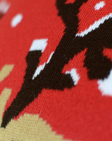 Kids Organic Cotton Sweater with Reindeer and Scarf