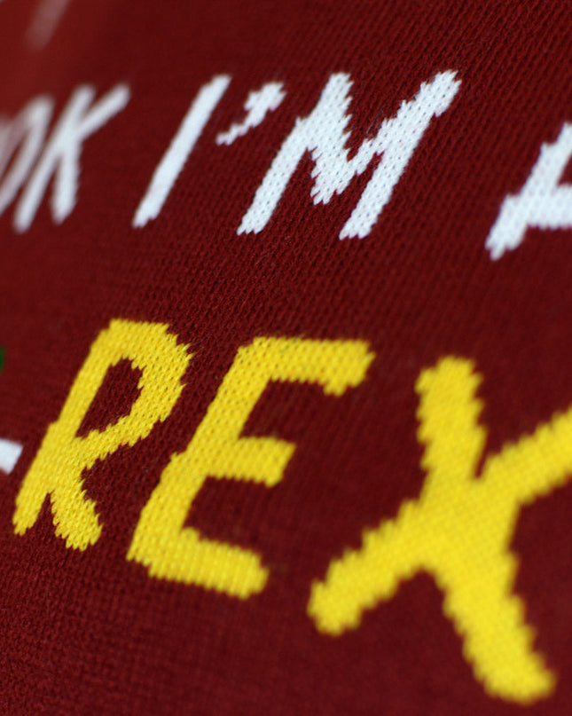 Light-Up LED Christmas Sweater for Family Tree-Rex