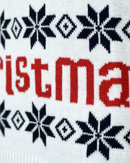 Blue Family Christmas Sweater with Santa and Rudolph in Organic Cotton