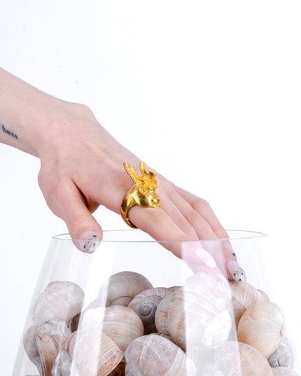 Herr Hasen-Kupferring