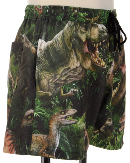 Fun Dinosaur Print Shorts