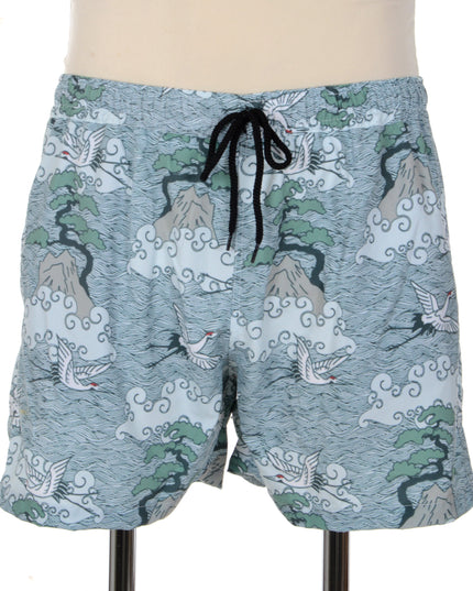 Stylish Darvas Shorts