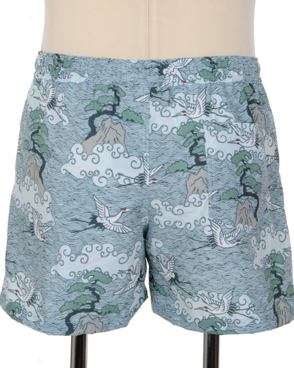 Stylish Darvas Shorts