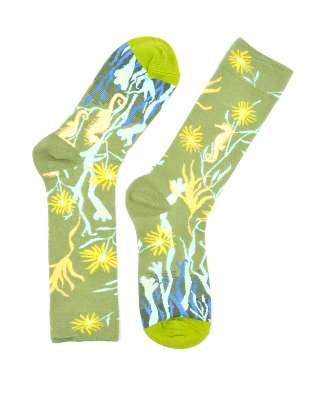 Unique Seahorse Socks